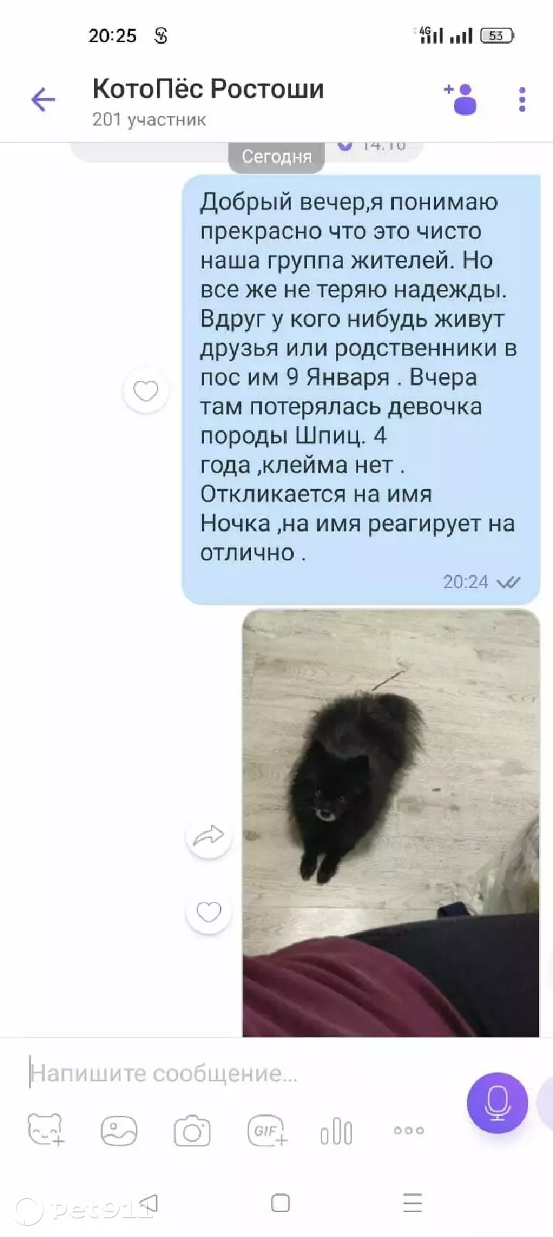 Пропала собака Ночка на Лесхозной улице. | Pet911.ru