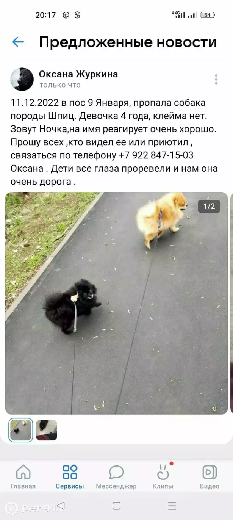 Пропала собака Ночка на Лесхозной улице. | Pet911.ru