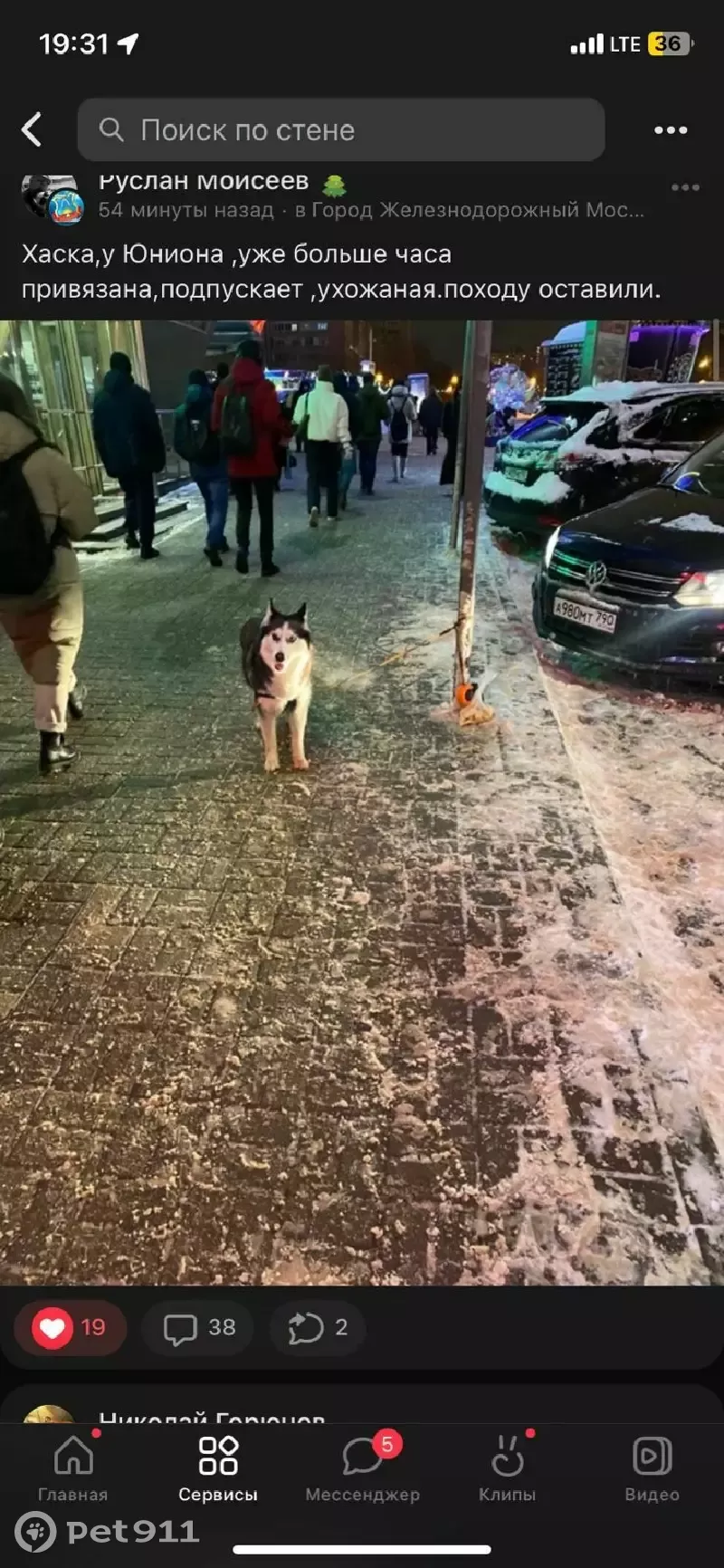 Найдена собака Хаски в Балашихе, ищем настоящих хозяев! | Pet911.ru