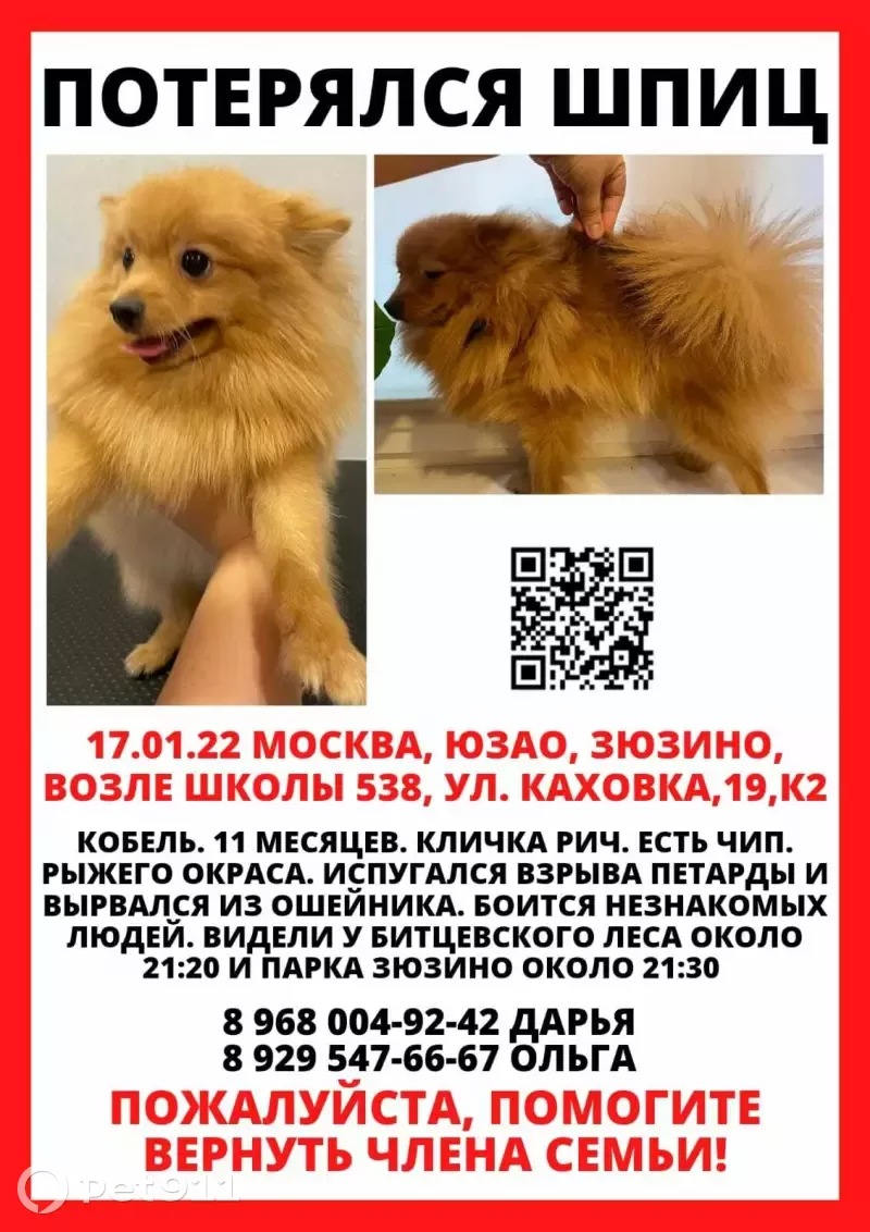 Пропала собака на улице Каховка, 17/14, Москва | Pet911.ru