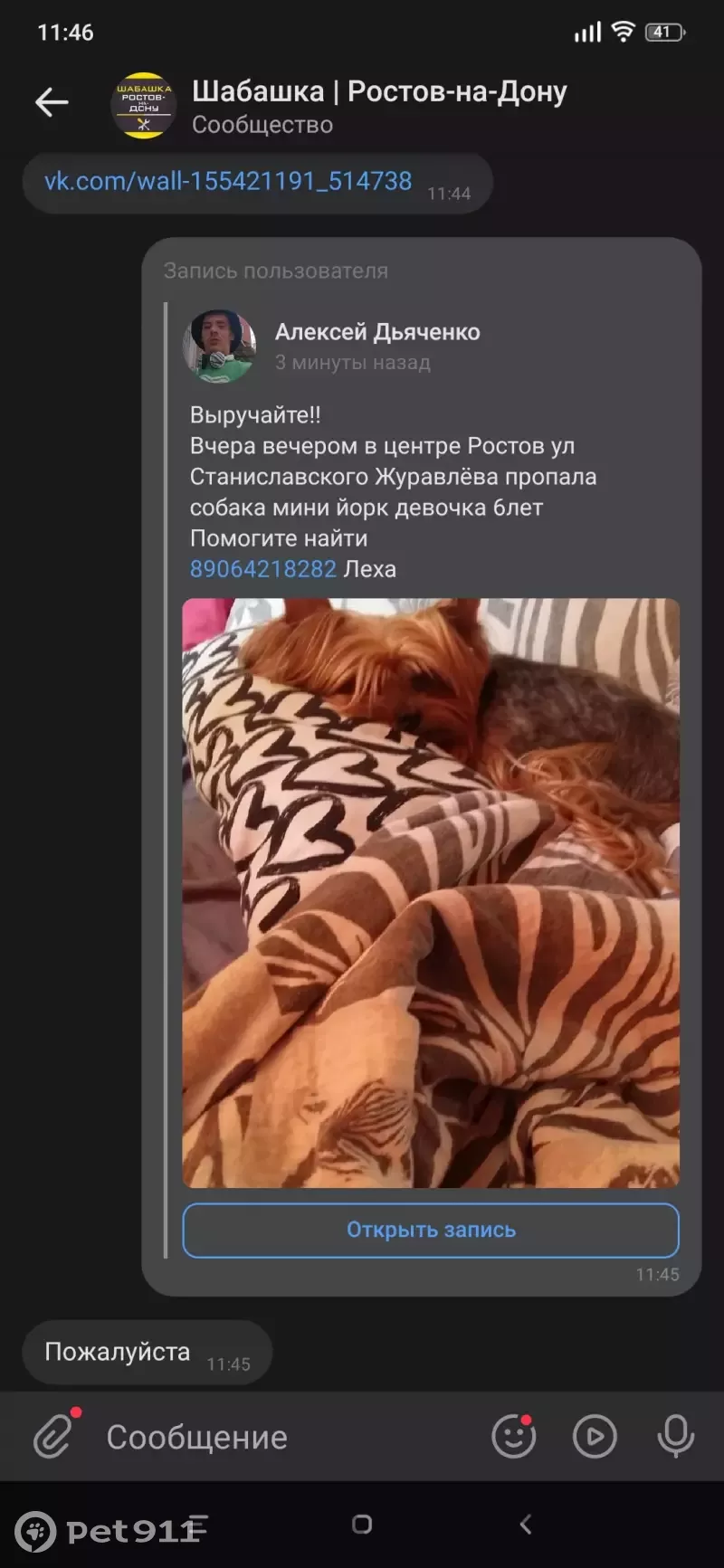 Пропала собака Буся на улице Станиславского, 230/22, Ростов-на-Дону |  Pet911.ru