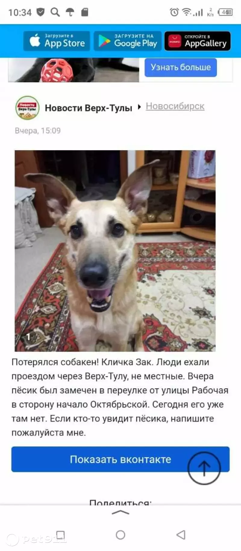 Собака найдена в Верх-Туле, Новосибирская обл. | Pet911.ru