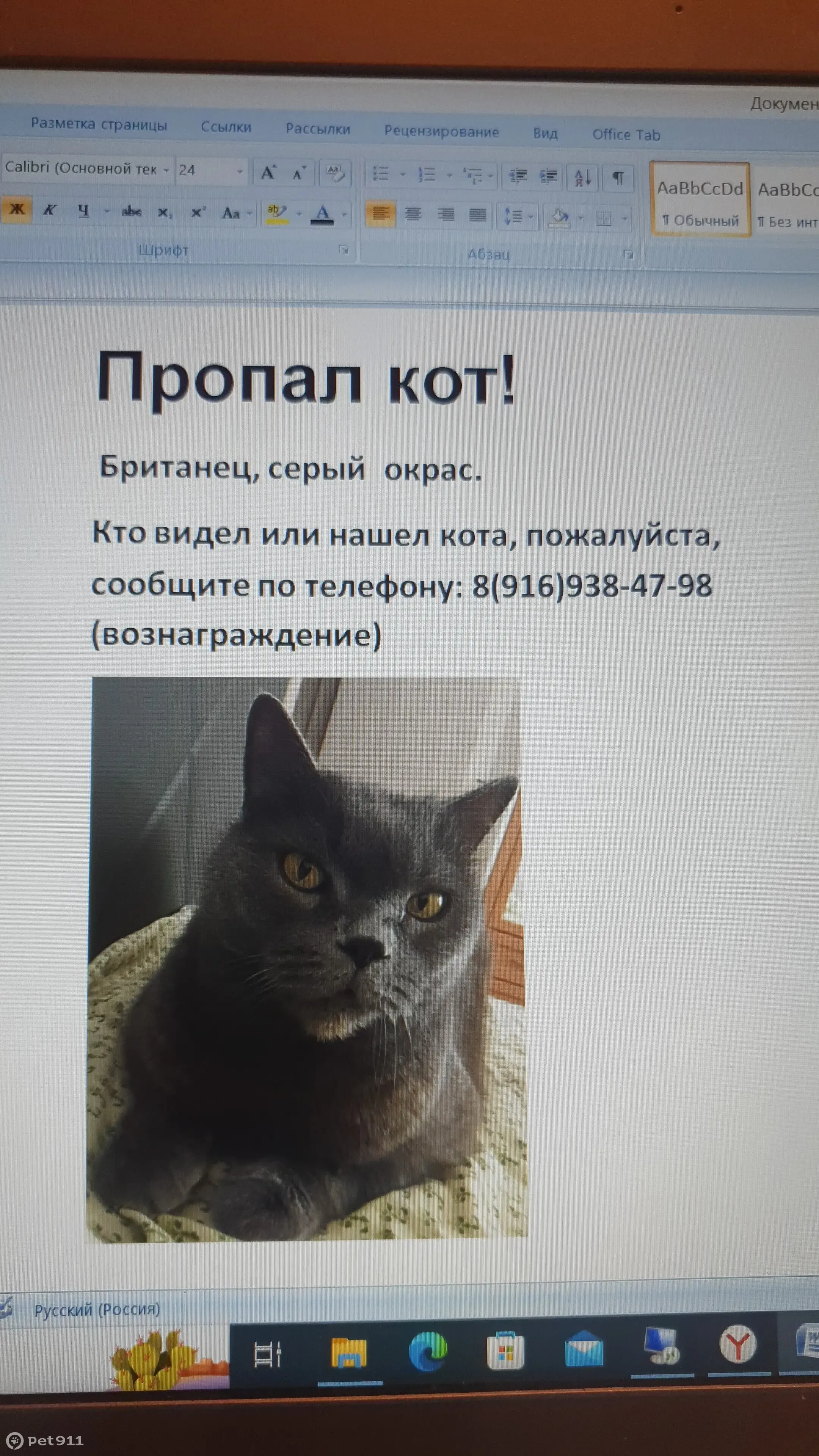 Пропала кошка на Мячковском бульваре (Москва) | Pet911.ru