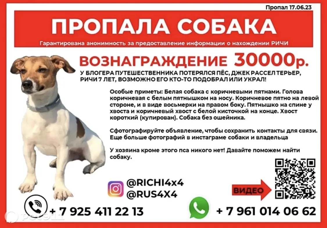 Пропала собака, ул. Горького 32, Прохладный | Pet911.ru