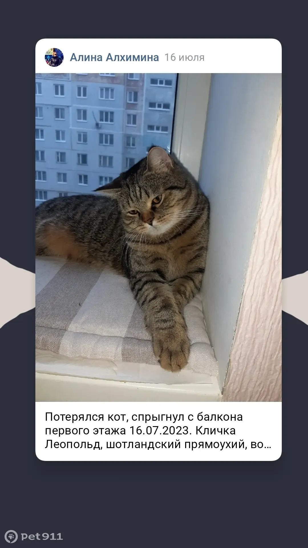 Пропала кошка Леопольд, Глинищево, ул. Садовая д.32, кв.30. | Pet911.ru