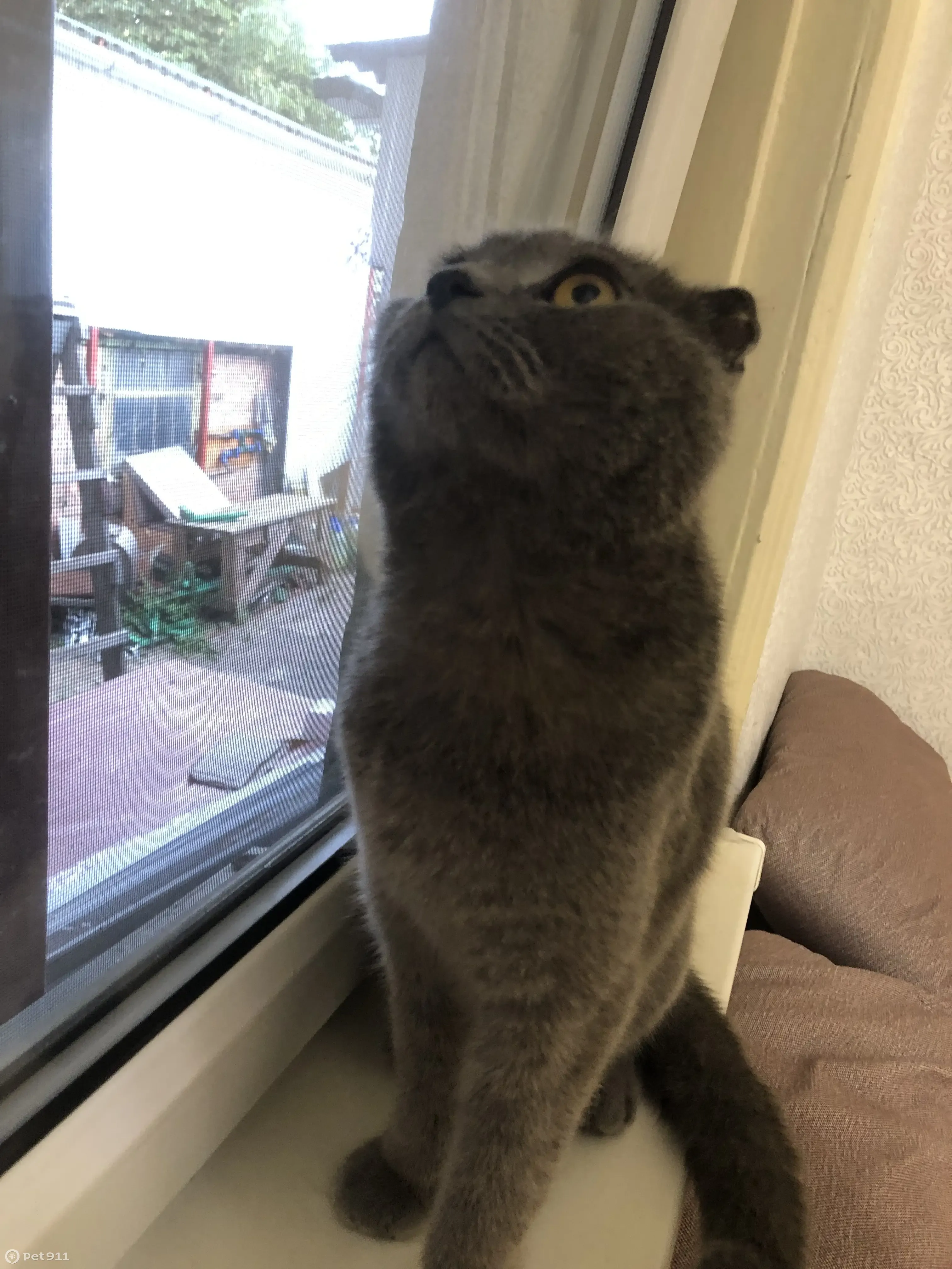 Выставьте пожалуйста