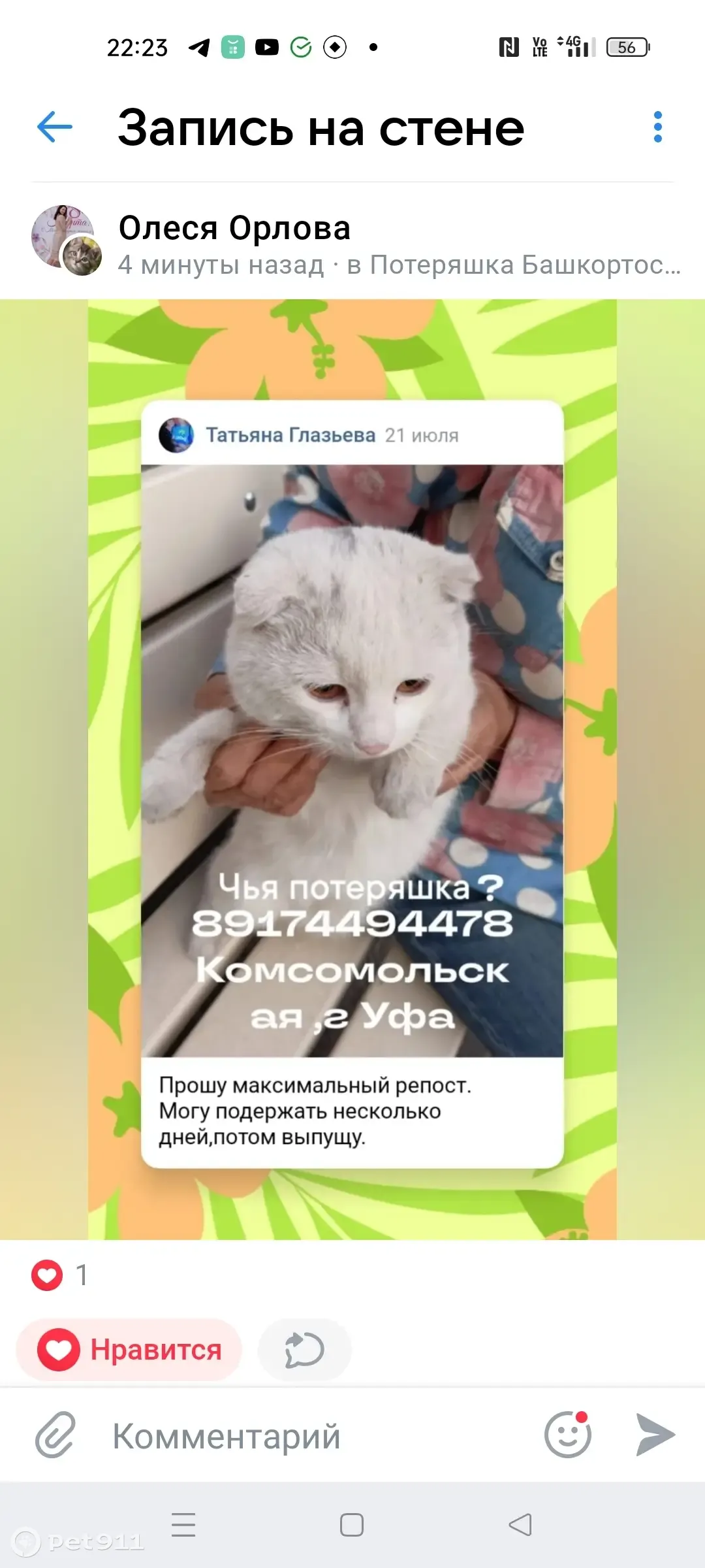 Найдена Белая вислоухая кошка, Комсомольская ул., 21/1, Уфа | Pet911.ru