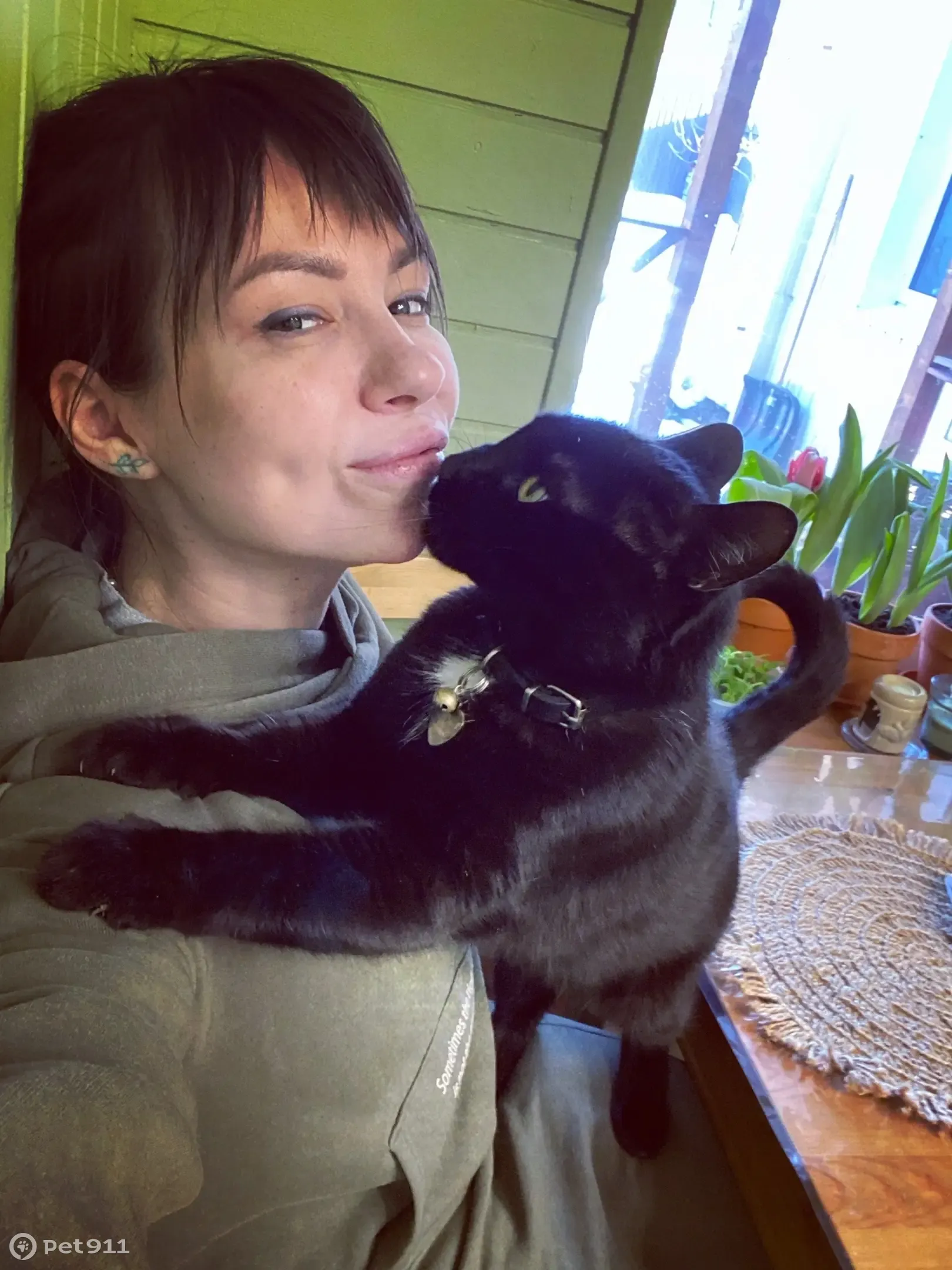 Пропала черная кошка, ул. Репина, 27, Ульяновск | Pet911.ru