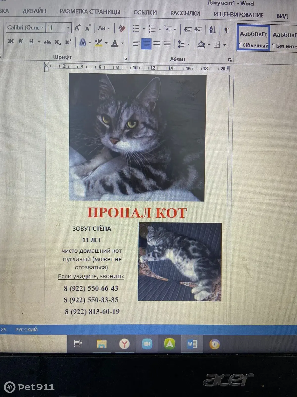 Пропала кошка, пер. В. Томина, 6, Орск | Pet911.ru