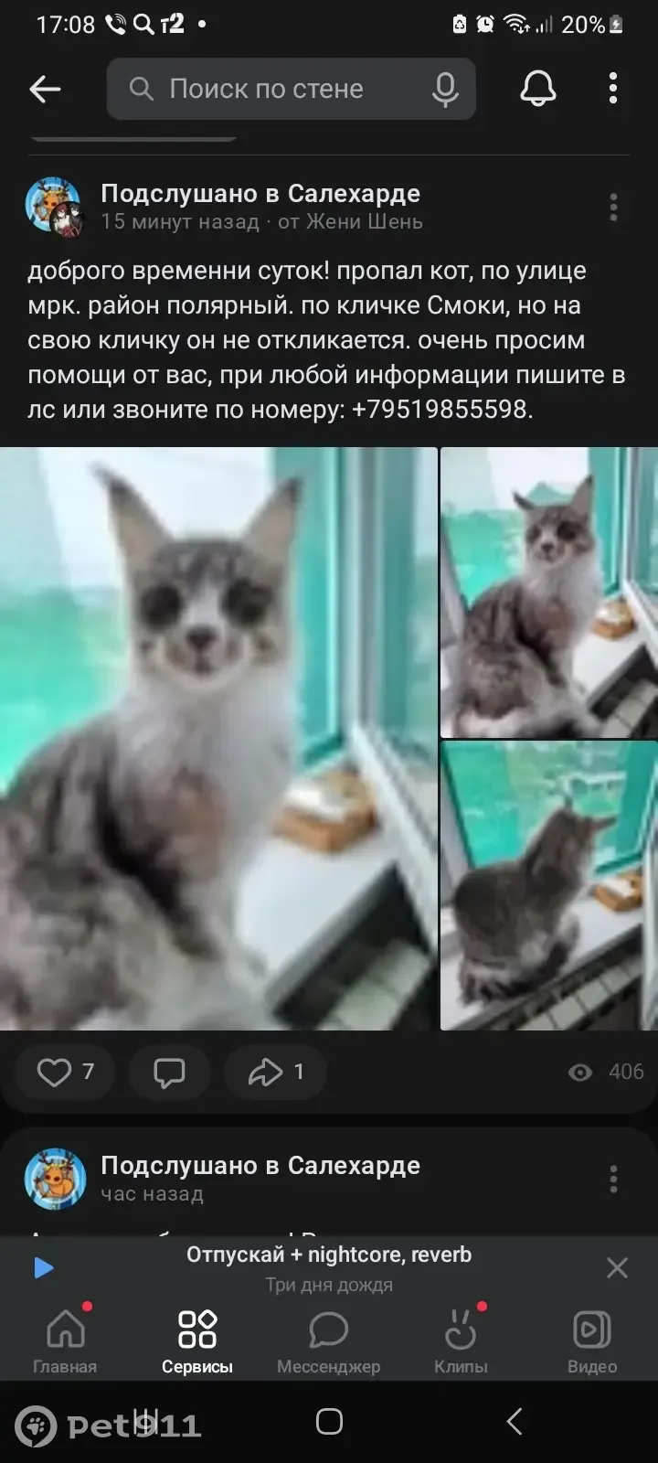 Пропал кот Смоки, ул. Полярная, 3В, Салехард | Pet911.ru