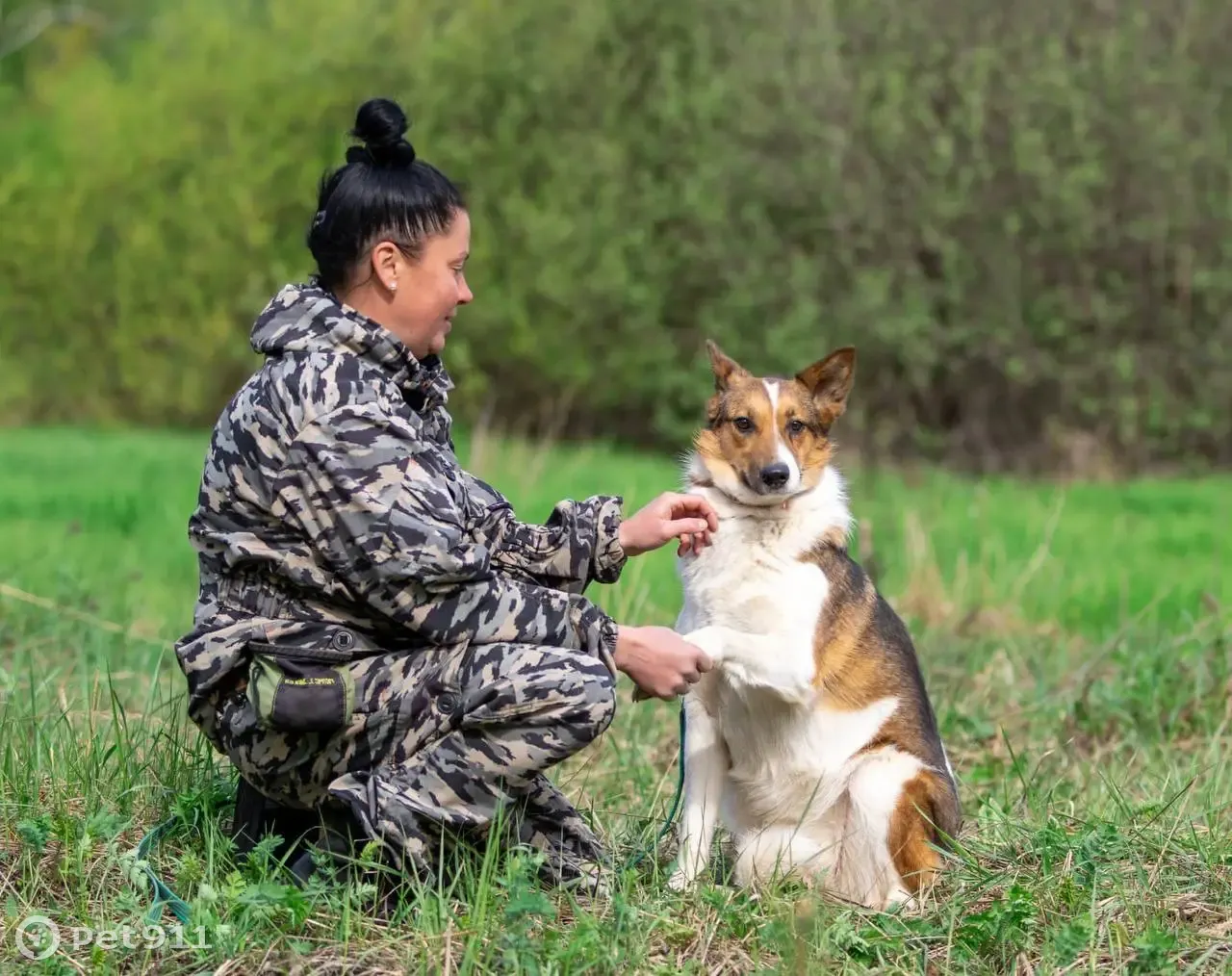 Найдена собака Москва, ищет дом: маленькая умная собачка Жужа, Раменское |  Pet911.ru