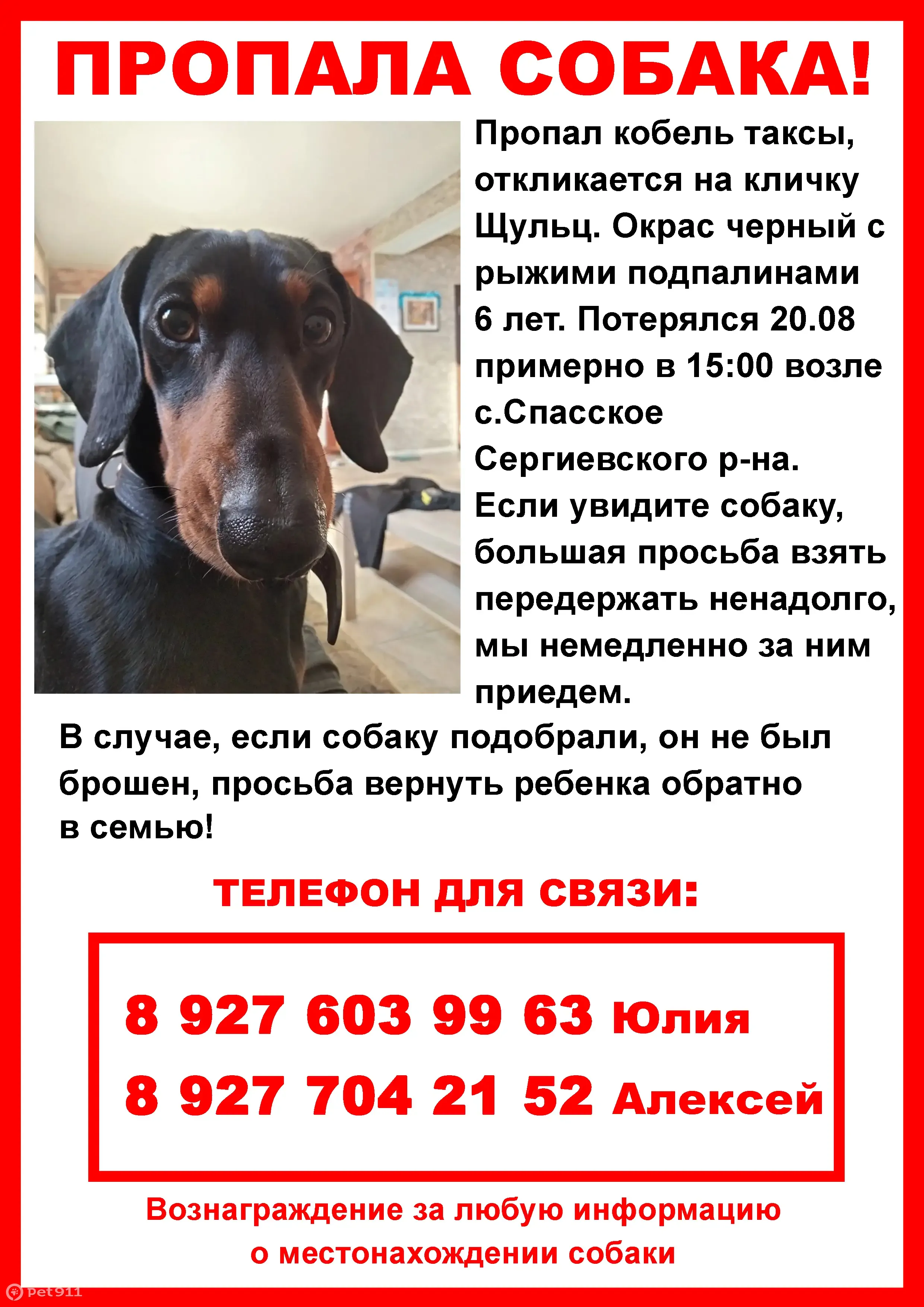 Пропала собака в Белом Ключе, Спасское | Pet911.ru