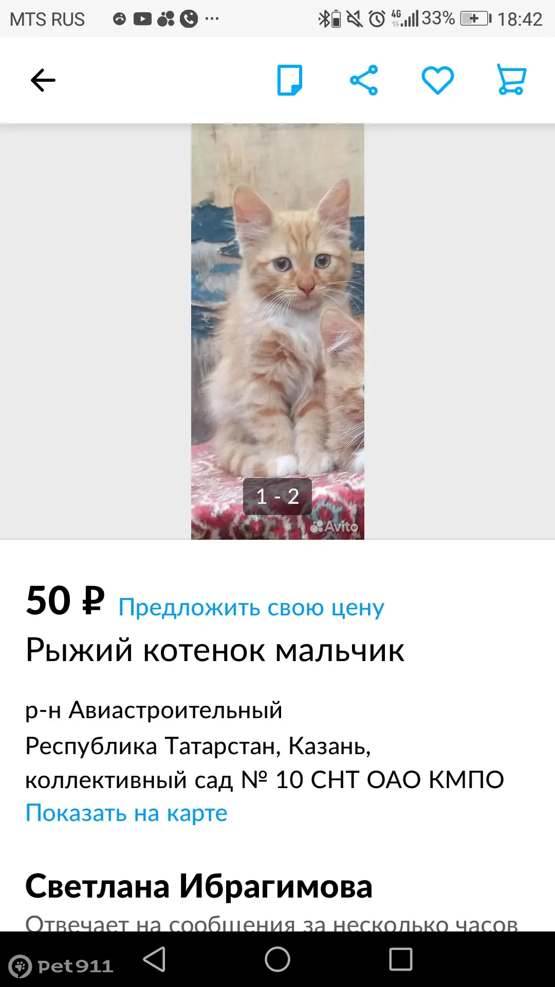 Пропала кошка, рыжий котенок, ул. Бэйге, Казань | Pet911.ru