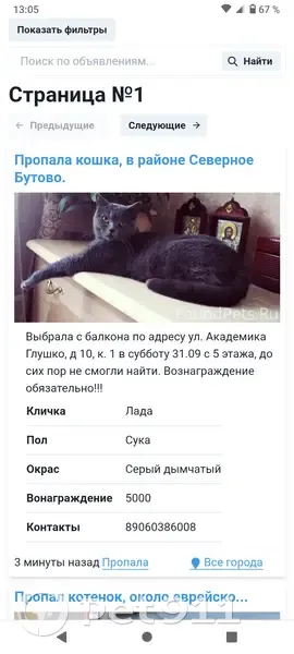 Пропала кошка ЛАДА, ул. Академика Глушко, 10 к1, Москва | Pet911.ru