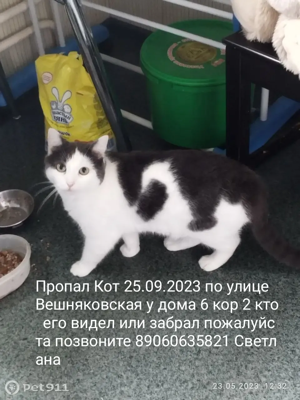 Пропал кот, Вешняковская ул. 6 к2, Москва | Pet911.ru