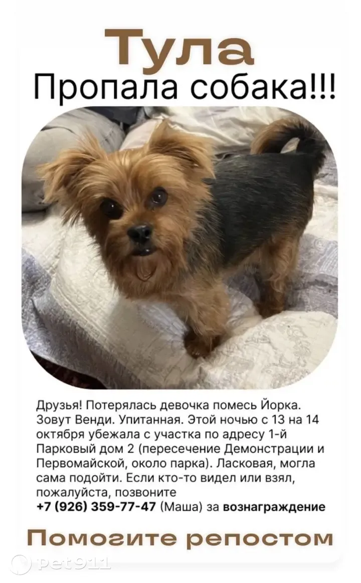 Пропала собака в Туле, 1-й Парковый переулок, 3 | Pet911.ru