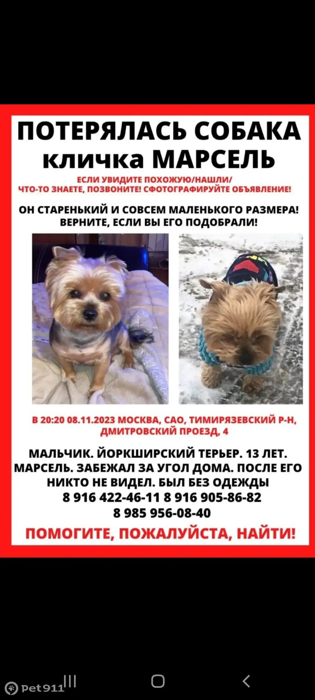 Пропала собака: Дмитровский проезд, 4 к3, Москва | Pet911.ru