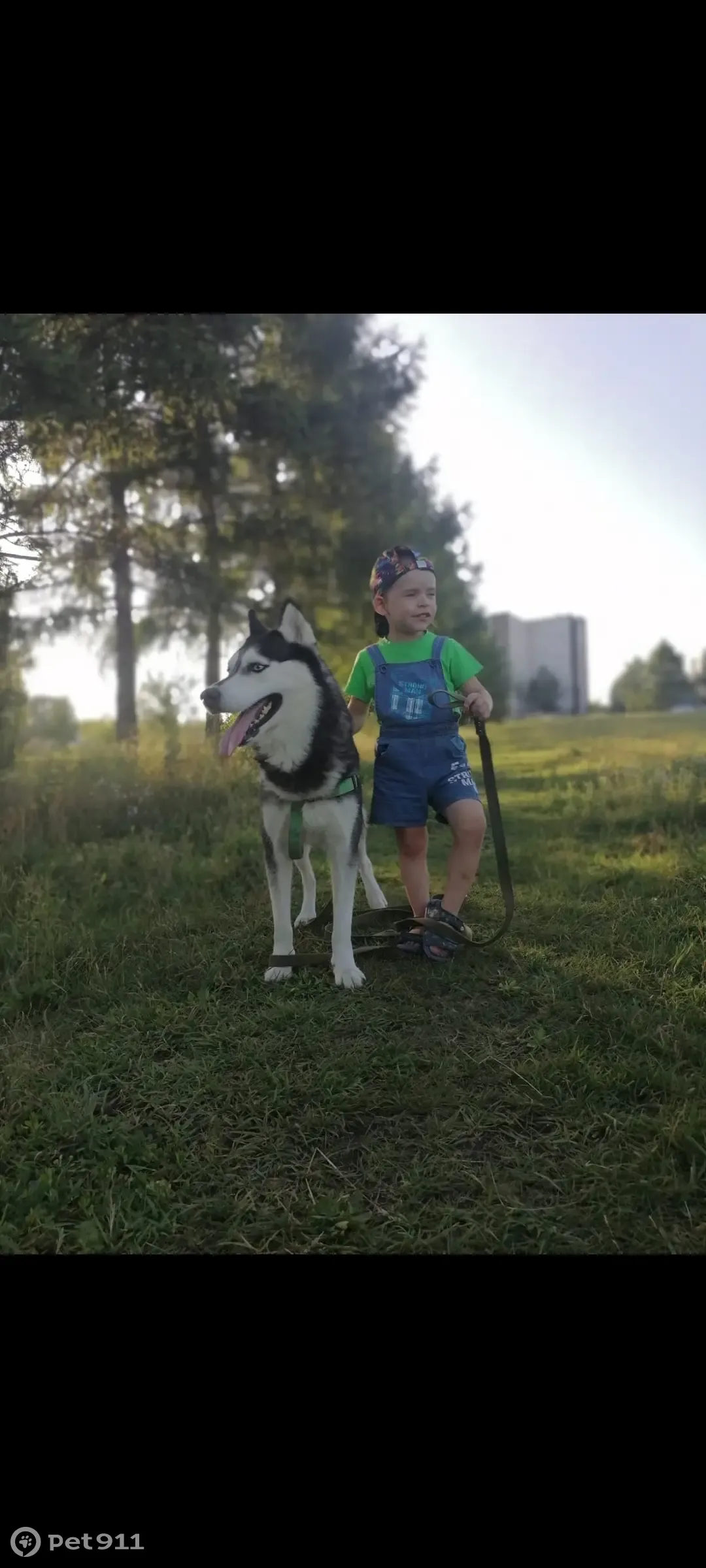 Пропала собака Сучка. Ул. Карбышева, 20, Красноярск | Pet911.ru