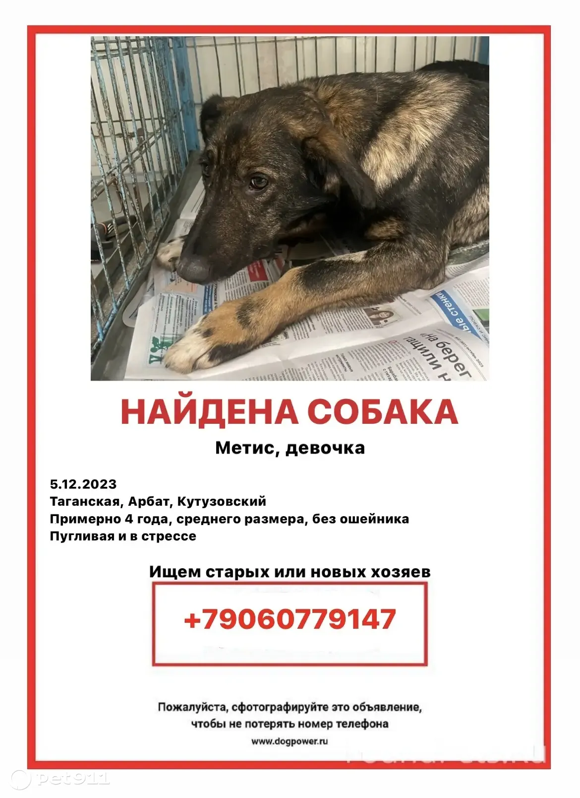 Найдена собака: Укр. бульвар, 6 к2 | Pet911.ru