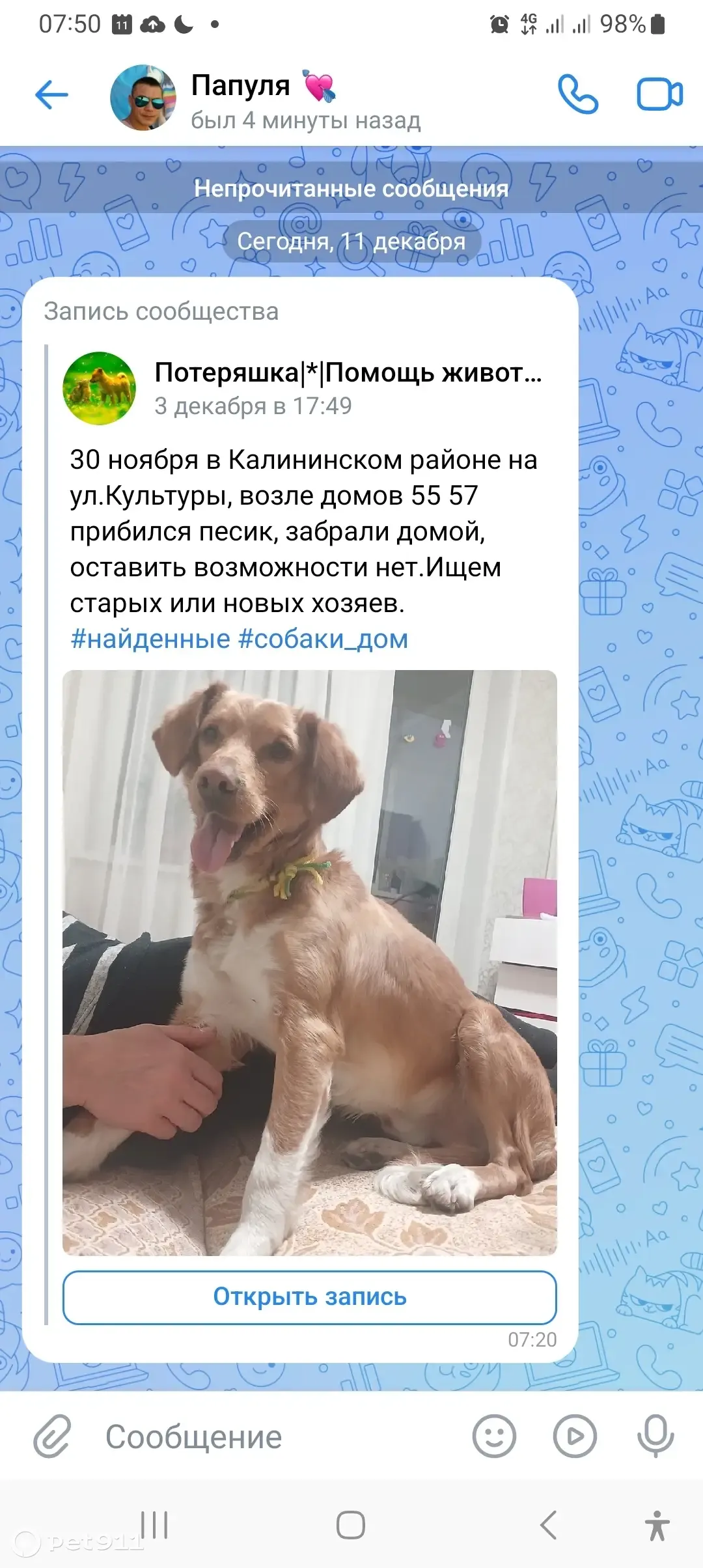 Собаку удерживают: Кудрявцева, 5, Челябинск | Pet911.ru