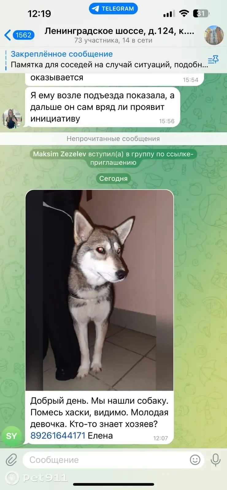 Найдена собака, проезд № 6182, Мск | Pet911.ru