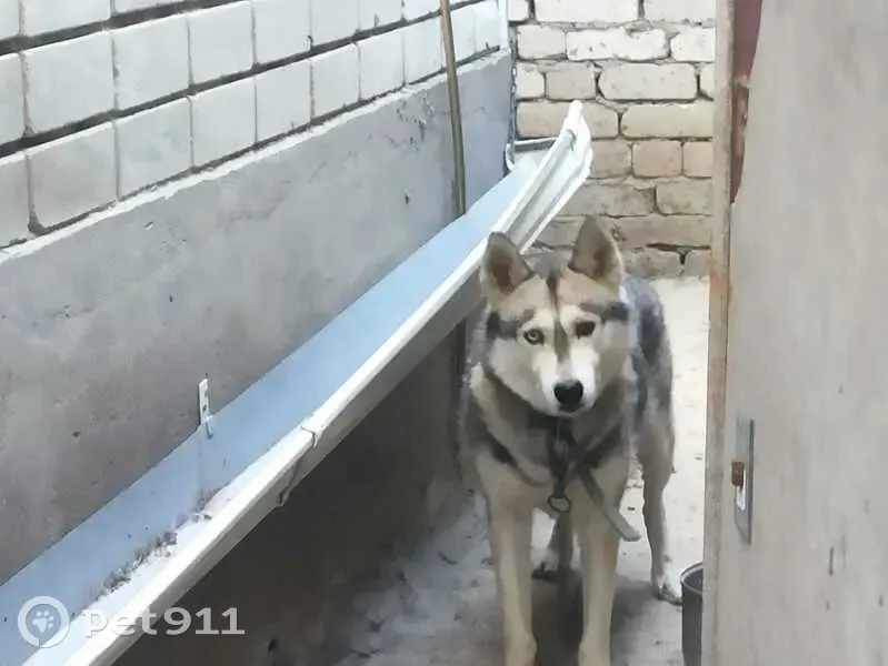 ноябрь 11 волгоград. ноябрь 11 волгоград. ноябрь 11 волгоград. калинина 11 волгоград. лицей 11 волгоград фото.