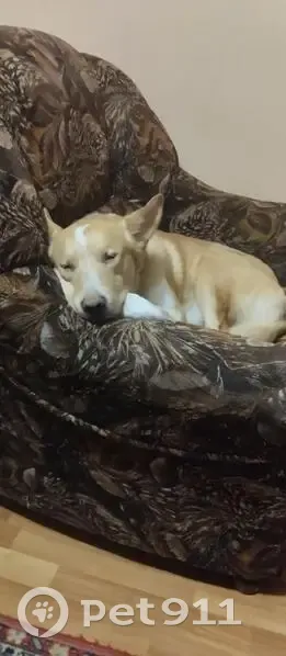 больница на 19 микрорайоне платные услуги. областная больница иваново платные услуги. медицинские услуги в платных клиниках перечень услуг. поликлиника липецкой областной клинической больницы. буз во череповецкая городская больница.