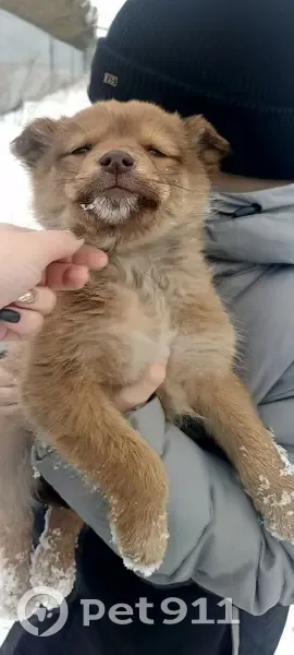 Улица советская бийск. Бийск. Бийск нашел. Бийск ул. Заводская 87 бийск.