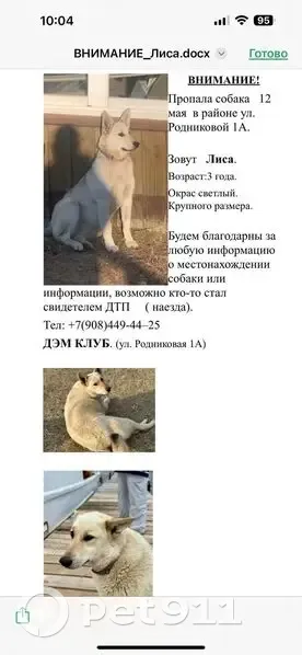 Пропала собака Лиса, Андреевка, 05К-374 - photo