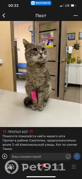Пропала кошка, 2-я Комсомольская, 18, Тейково - photo