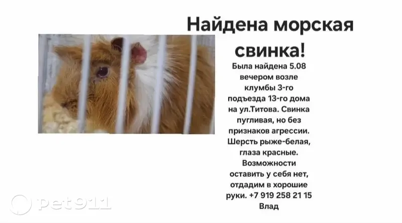 Другой найден: ул. Германа Титова, 13, Липецк - photo