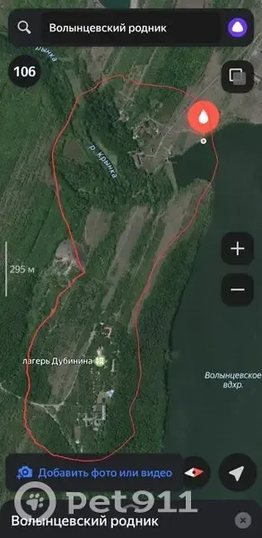 Пропала собака, ул. Баженова, Енакиево - photo