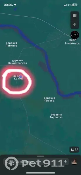 Пропал кот: Архангельская обл., 11К-146 - photo