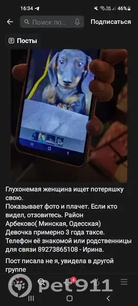 Пропала собака, Пензенская обл. - photo