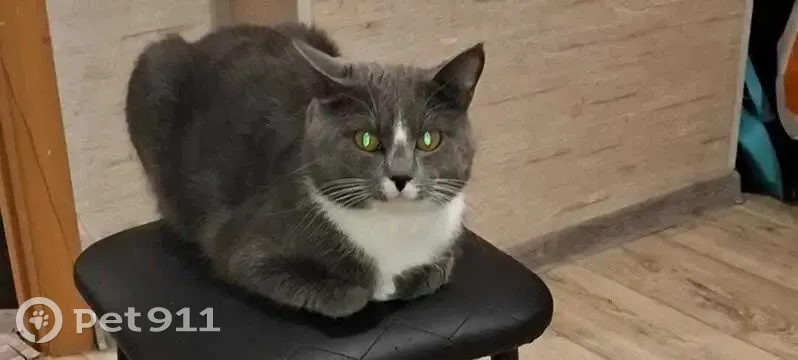 Француз эротикасы онлайн Жалаңаш әйелдердің ең нашар суреттері