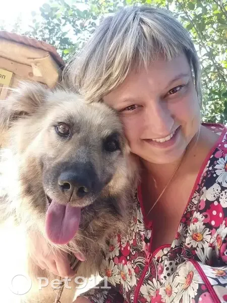 Пропала собака, 29Н-010, Село Муромцево - photo