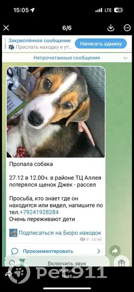 Пропала собака, ул. Фархутдинова 3, Ю-Сах. - photo