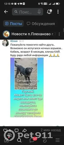 Пропала собака в Плеханово, Тула - photo