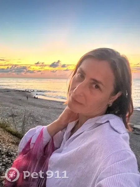 Пропала собака у дома Кулакова 47/1 - photo