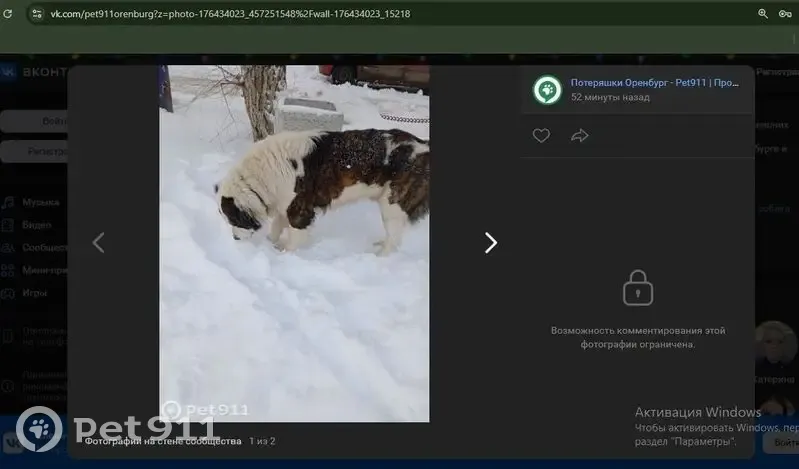 Найдена собака, Авиационная 24, Оренбург - photo