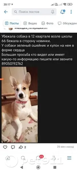 Пропала собака, ул. Автостроителей, 78 - photo