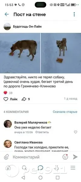 Пропала собака, Будогощь, Ленобласть - photo