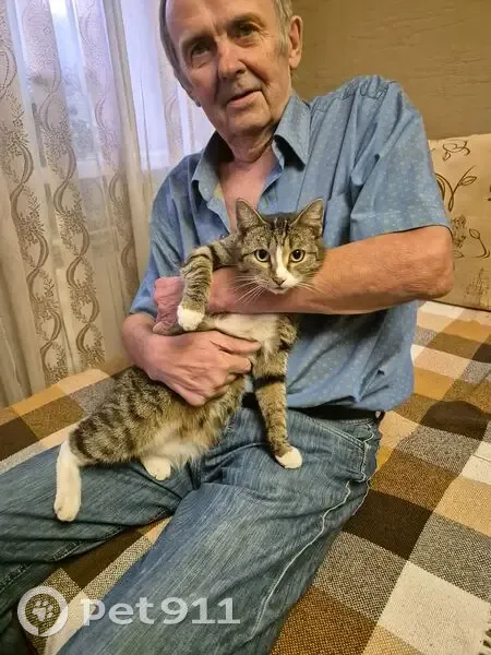 Пропала кошка, Пролетарская 8, Кемерово - photo