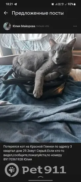 Пропал кот, 3-й квартал (Красная глинка), 29, Самара - photo