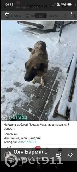 Пропал собака, улица Братьев Глубоковых, 24А, Лопатинo - крупный кобель дворняга - photo