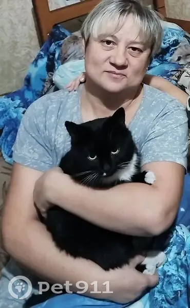 Пропал кот, 55, Ангарск - черный с белым пятном на мордашке - photo