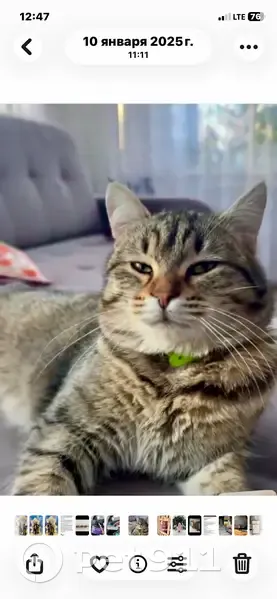 Пропал кошка, Красноармейская улица, Верхняя Салда - серый в полоску, след на ухе - photo