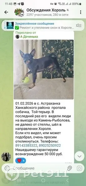 Пропал собака, улица Березюка, 52А, Астраханка - окрас чёрный, Камень-Рыболов - photo