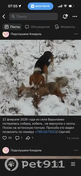 Пропала собака, Варыпаево, Пензенская область - photo