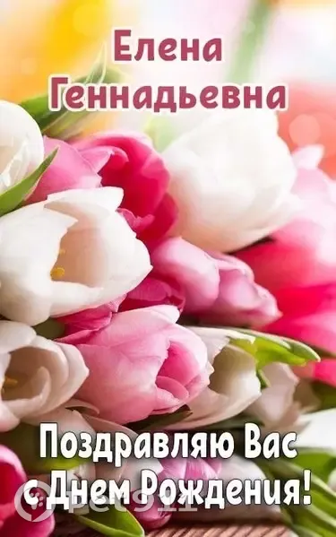 Пропал кот, Смоленская улица, 95, Волжский - мейн-кун, испуган - photo